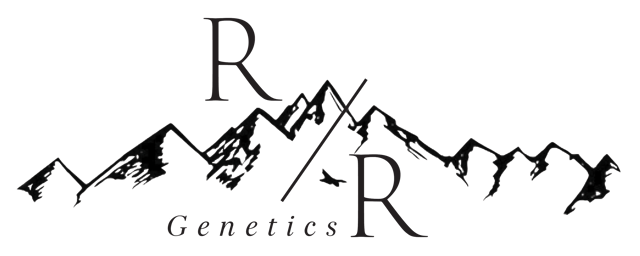 R & R Genetics